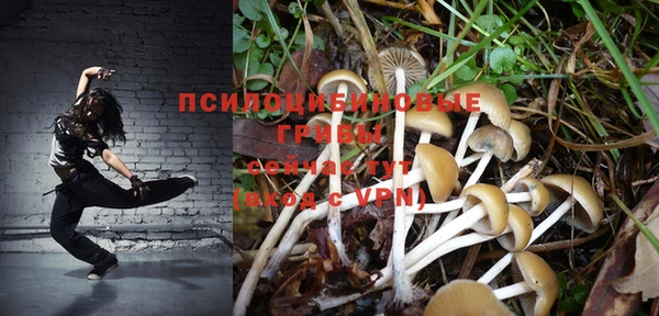apvp Баксан