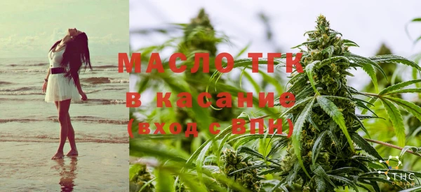 дживик Балахна
