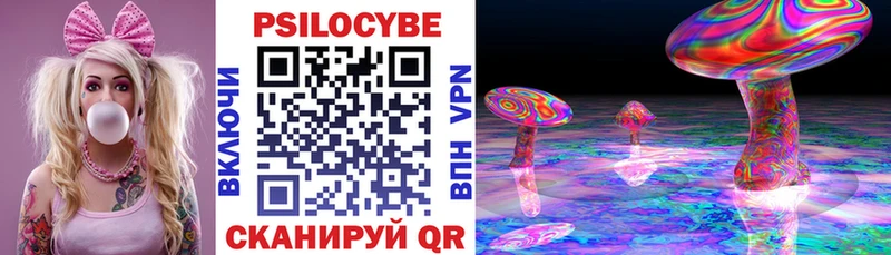 hydra Белозерск Галлюциногенные грибы Cubensis